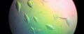 protein-in-bacteria-600x243.jpg