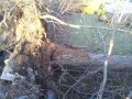 2011-12-27 13.28.13.jpg