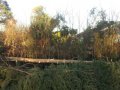 2011-12-27 13.28.45.jpg
