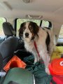 GitaRescue_1728029911888_hpMain.jpg