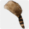 Selection_168.png Selection_168.png