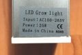 LED2.jpg
