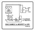 XiAO_transistor_LED_241028.jpg