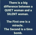 1730166522818.png