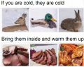 Selection_091.png Selection_091.png