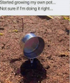 1730736940511.png
