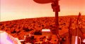 scientist-nasa-lander-killed-life-mars.jpeg
