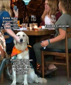 1732832844540.png