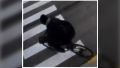 1735849975875.png