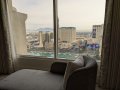 PXL_20250128_173633453.jpg