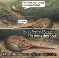 1739037718093.png