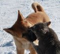 1_003.jpg