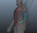 Humanoid Robot CAD Design