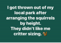 1741022602736.png