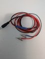 PXL_20250304_024557840.jpg