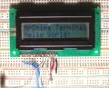 MSP430 LCD display module.jpg