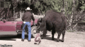 1mbndm.gif