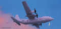 1744991350618.png 1744991350618.png