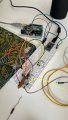 IMG_4485.jpeg