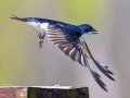 TRSW-EXP=YR3_3908-2-Enhanced-NR.jpg