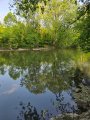 water1.jpg