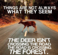 1749172320830.png