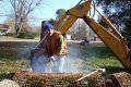 DSC00429.jpg
