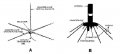 quarter-wave antenna.jpg