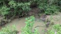 PXL_20250726_184631516.jpg