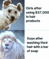 1754358964107.png