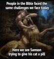 1755224095129.png