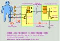 biosemi illustration.JPG