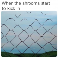 1757179420157.png