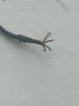 IMG_7358.jpeg