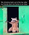 1758567233473.png