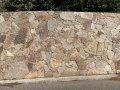 IMG_4250.jpeg