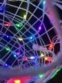 IMG_0522.jpeg