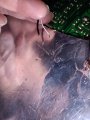 IMG_20251011_213110_178.jpg