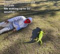 1762785406940.jpeg