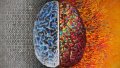 BrainIllustrationWithOneHemisphereBinaryOtherColors-600x338.jpg