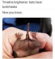 1765495477916.png