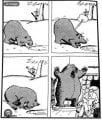 IMG_1850.jpeg