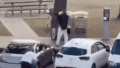elahmedcomp.gif