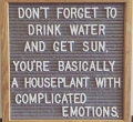 1768770920620.png