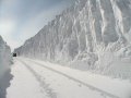 road.jpg