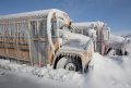schoolbus.jpg