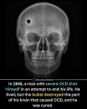 1769441521832.png 1769441521832.png