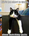 socks.png
