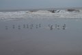 IMG_7142.JPG