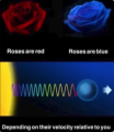Selection_067.png